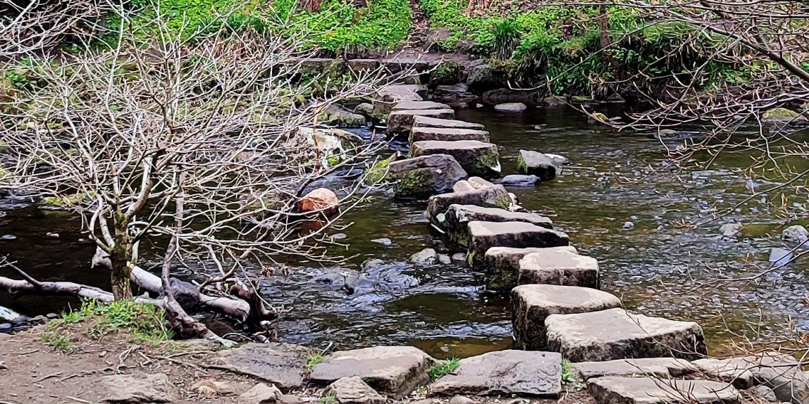 Stepping stones over calm river
